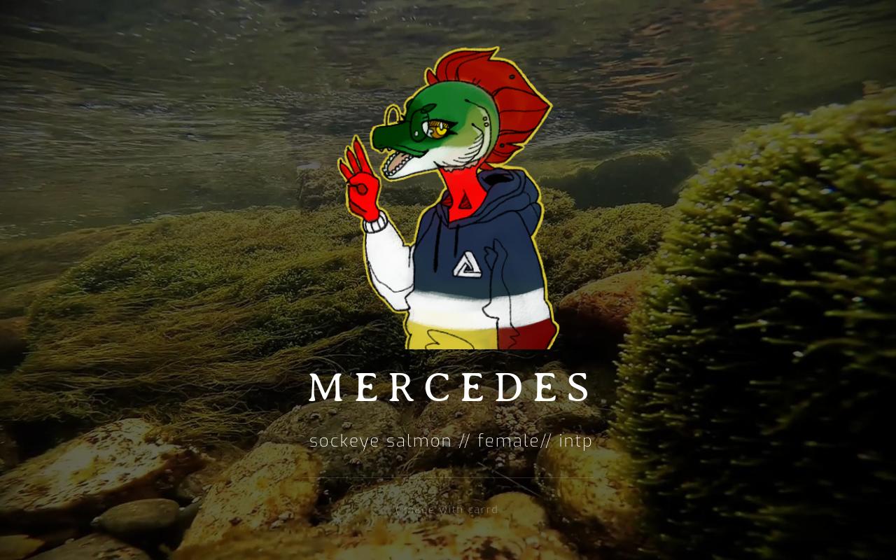 Carrd profile picture for @mercedes